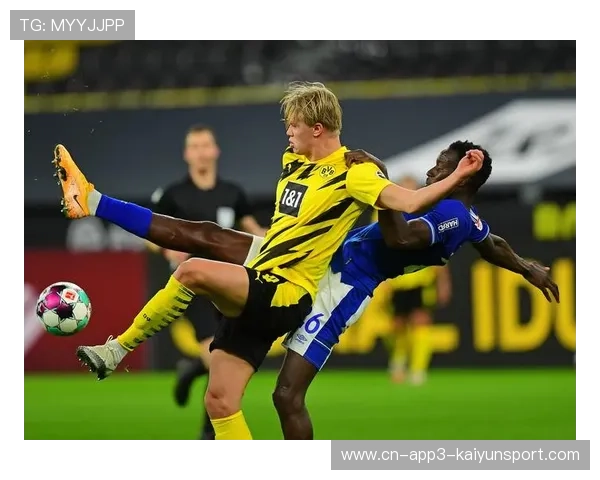 波斯尼亚教练穆斯利奇执教沙尔克，多元背景丰富德甲多样性